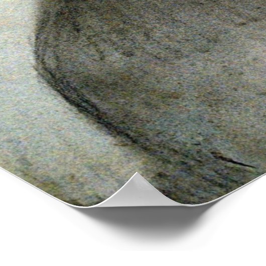 Eakins - Mann in Turban Poster (Ecke)