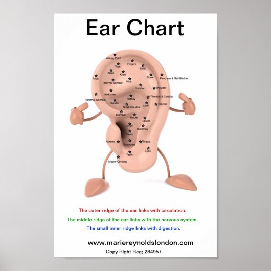 Ear Chart Poster (Vorne)