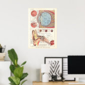 Ear & Eye Anatomy Poster auf Französisch (Heimbüro)