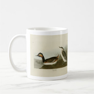 Eared Grebe (Schwarzhalskraut) - Audubon Kaffeetasse