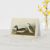 Eared Grebe (Schwarzhalskraut) - Audubon Karte (Gelbe Blume)