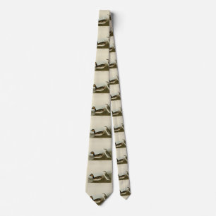 Eared Grebe (Schwarzhalskraut) - Audubon Krawatte