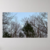 Early Abend Moon, Poster (Vorne)