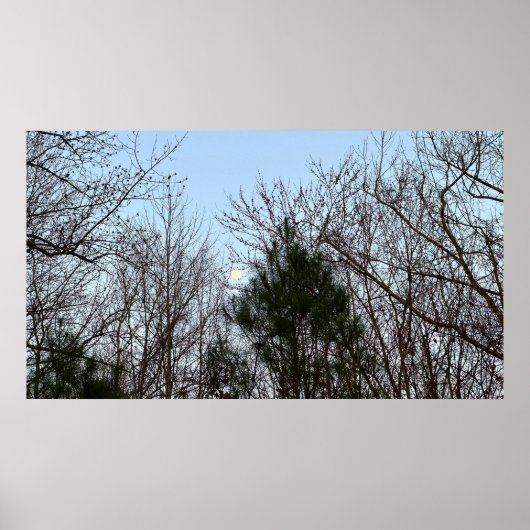 Early Abend Moon, Poster (Vorne)