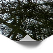 Early Abend Moon, Poster (Ecke)