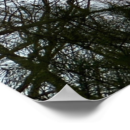 Early Abend Moon, Poster (Ecke)