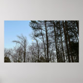 Early Abend Moon, Poster (Vorne)