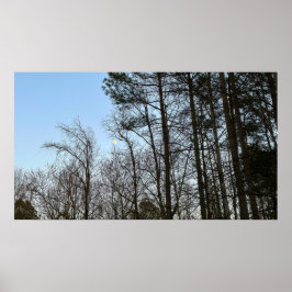 Early Abend Moon, Poster