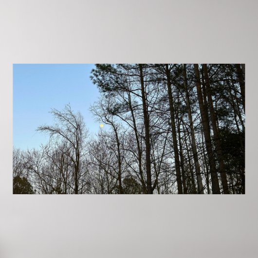 Early Abend Moon, Poster (Vorne)