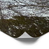 Early Abend Moon, Poster (Ecke)