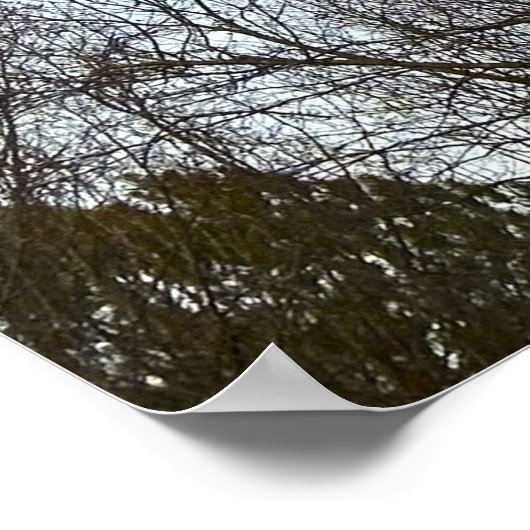 Early Abend Moon, Poster (Ecke)