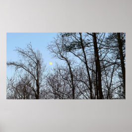 Early Abend Moon, Poster