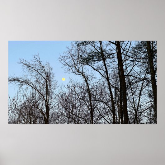 Early Abend Moon, Poster (Vorne)