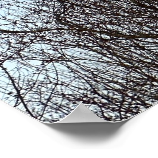 Early Abend Moon, Poster (Ecke)