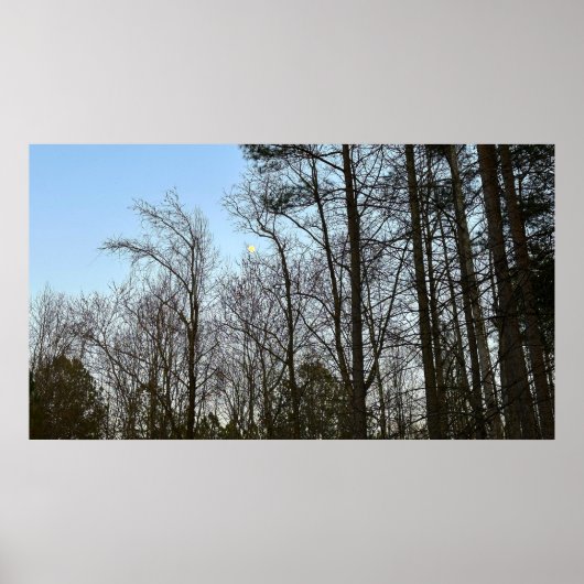 Early Abend Moon, Poster (Vorne)