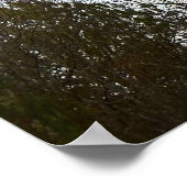 Early Abend Moon, Poster (Ecke)