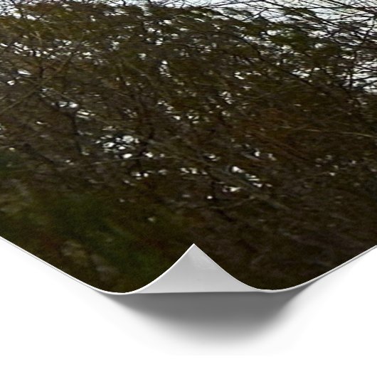 Early Abend Moon, Poster (Ecke)