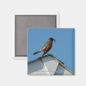 Early Bird Magnet (Vorderseite/Rückseite)