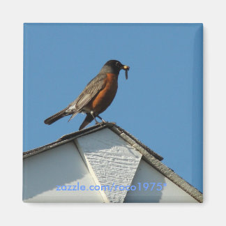 Early Bird Magnet