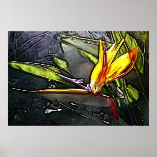 Early Bird Print Poster (Vorne)