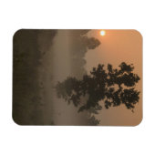 Early morning, rising sun and ground fog magnet (Horizontal)