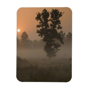 Early morning, rising sun and ground fog magnet