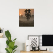 Early morning, rising sun and ground fog poster (Heimbüro)