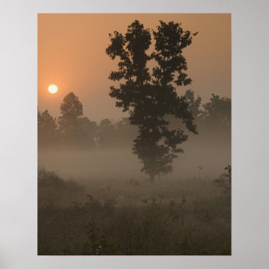 Early morning, rising sun and ground fog poster (Vorne)