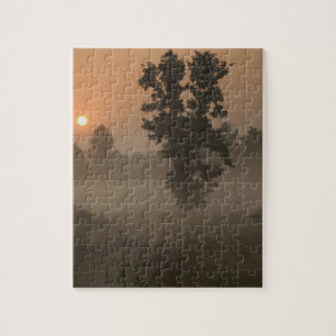 Early morning, rising sun and ground fog puzzle