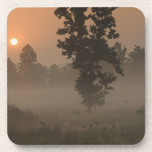 Early morning, rising sun and ground fog untersetzer (Vorderseite)