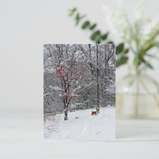 Early Snow Postkarte (Stehend Vorderseite)