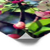 Early Spring Crabapple 3 Close Up Poster (Ecke)