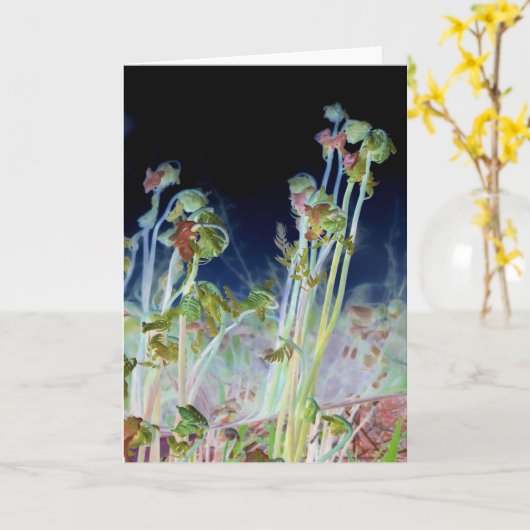 "Early Spring" digital veränderte Fiddlehead Ferns Karte (Gelbe Blume)