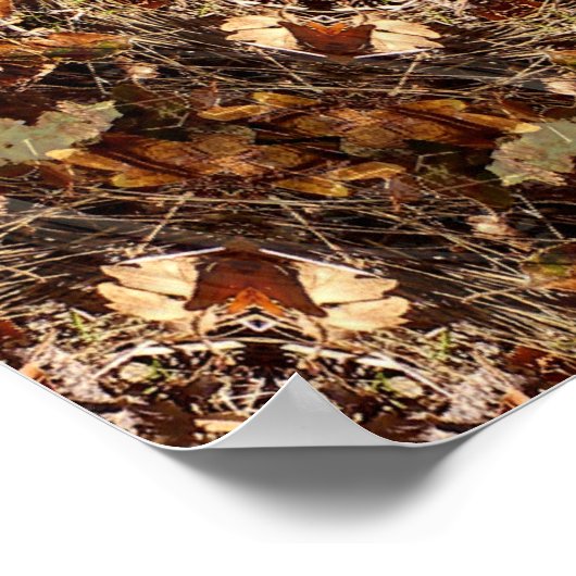 Earth Day 2020.... Poster (Ecke)