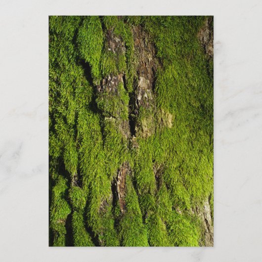 Earth Day Celebration, Editable Text (Vorderseite)