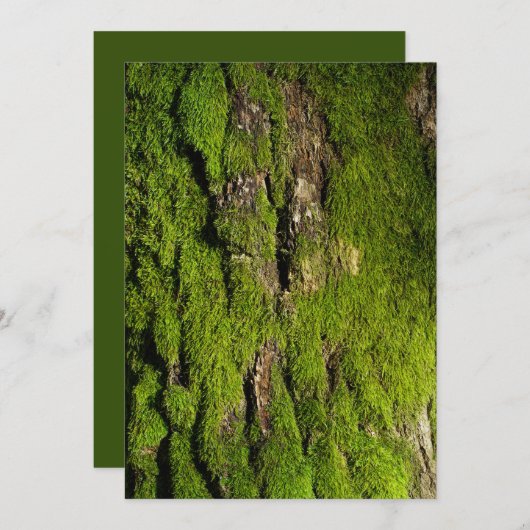 Earth Day Celebration, Editable Text (Vorne/Hinten)