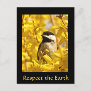 Earth Day Chickadee Bird Gelbe Blumen Postkarte