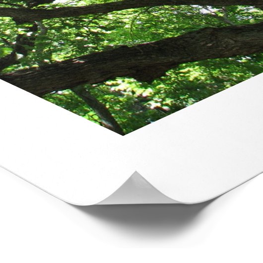 Earth Day Pflanze-A-Tree-Poster Poster (Ecke)