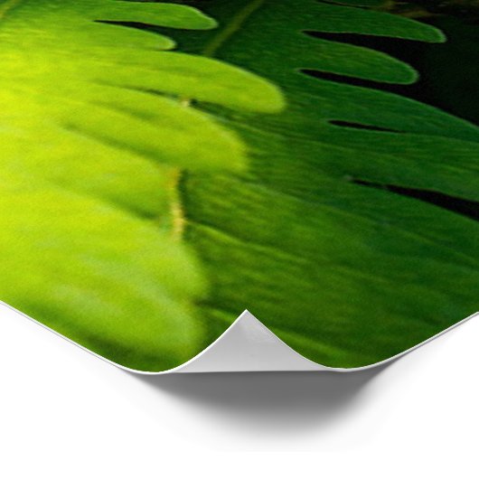 Earth Day Poster (Ecke)