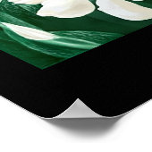 Earth Drake Poster (Ecke)