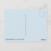 Earth Globe Postkarte (Rückseite)