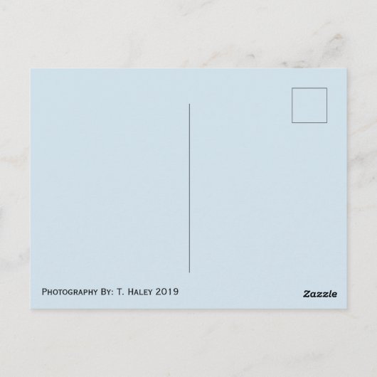 Earth Globe Postkarte (Rückseite)