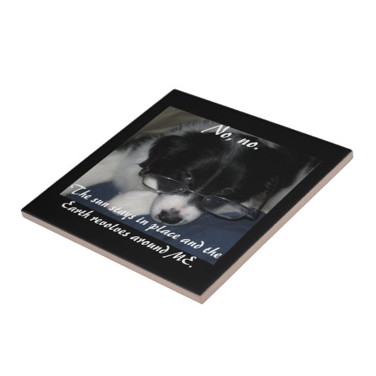 "Earth Revolves around ME"-Datei Fliese (Seite)