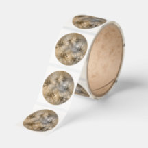 Earth Tones Abstract Modern Fractal Art Texture