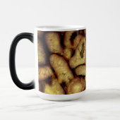 Earthen Green Quarz Agates Monogramm Verwandlungstasse (Links)