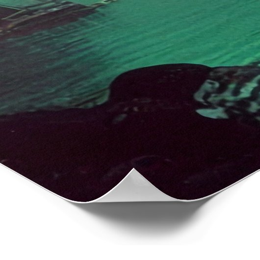 Earthrise Serenade (42x24in Extra Long) (W/Logo) Poster (Ecke)