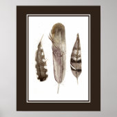 Earthtone Feathers II Poster (Vorne)