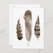 Earthtone Feathers II Postkarte (Vorne/Hinten)