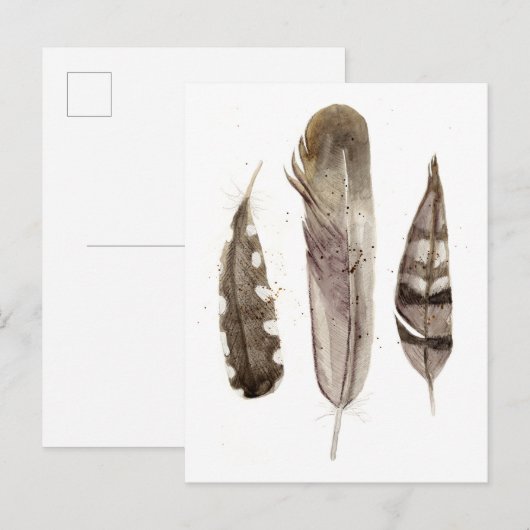 Earthtone Feathers II Postkarte (Vorne/Hinten)