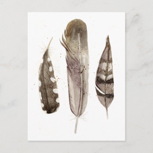 Earthtone Feathers II Postkarte (Vorderseite)